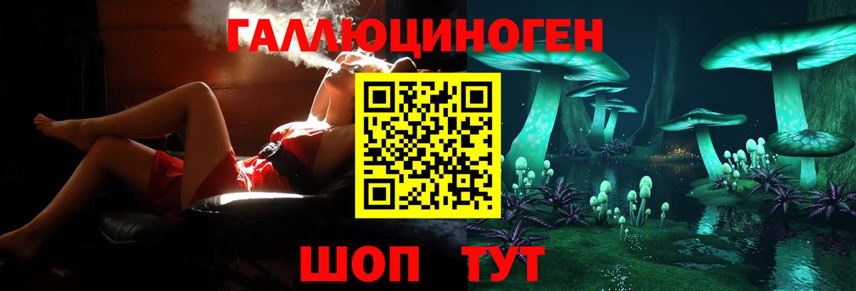 Псилоцибиновые грибы Psilocybe Россия